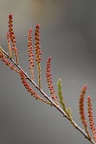 DSC 2574-Modifier