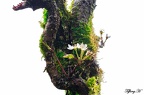 IMG-20220408-WA0009