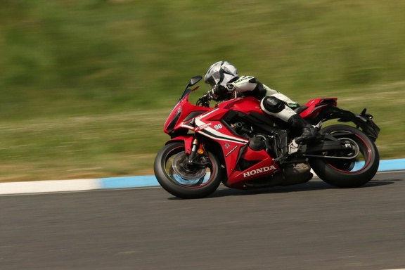 Circuit carole tiffany10