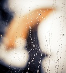 Gerald jaune parapluie 1