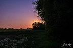 DSC 2975