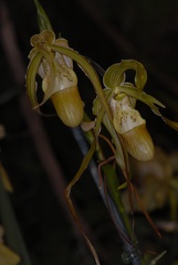  DSC5021