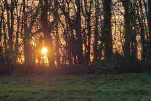 Je me cache resultat